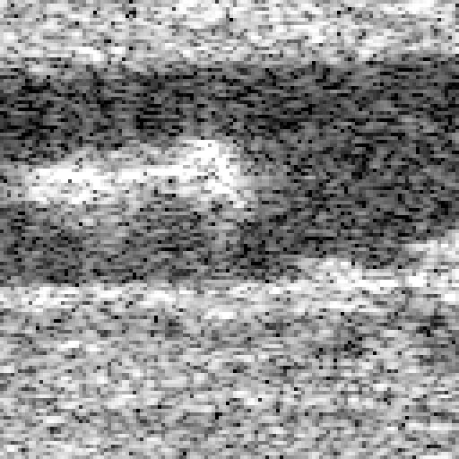 Phase removed: amplitude only